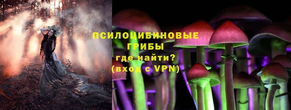 гидра Алексеевка
