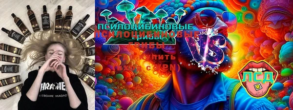 гидра Алексеевка