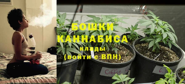 гидра Алексеевка