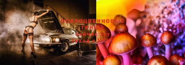 гидра Алексеевка