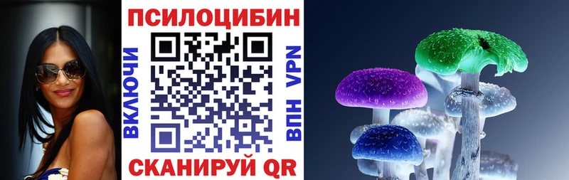 Галлюциногенные грибы Psilocybe  Полысаево 