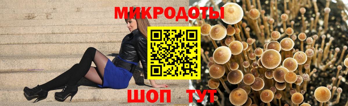 Псилоцибиновые грибы прущие грибы  Вход с VPN  Полысаево 